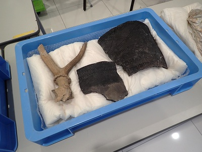 縄文土器、鹿角、貝塚の貝などに実際にさわれるミニ展示の様子。緩衝材を敷いた青いコンテナの中に土器や鹿角が並べられている。