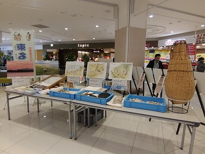 東名遺跡に関する展示の様子