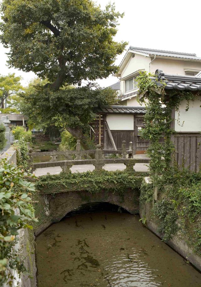 趣ある日本家屋の山門をくぐった先に広がる、ツタが絡まる情緒豊かな石造りの太鼓橋と、その下を静かに流れる堀、さらに周囲の民家や豊かな樹木が織りなす寺院周辺の落ち着いた景観を捉えた写真