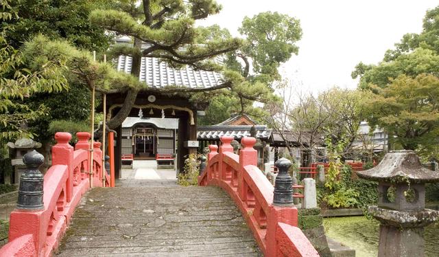 緑豊かな木々に囲まれた境内に、池をまたぐ鮮やかな朱色の神橋が架かり、その先には立派な松の枝越しに重厚な瓦屋根の門や拝殿が佇む、情緒あふれる神社の風景を捉えた写真