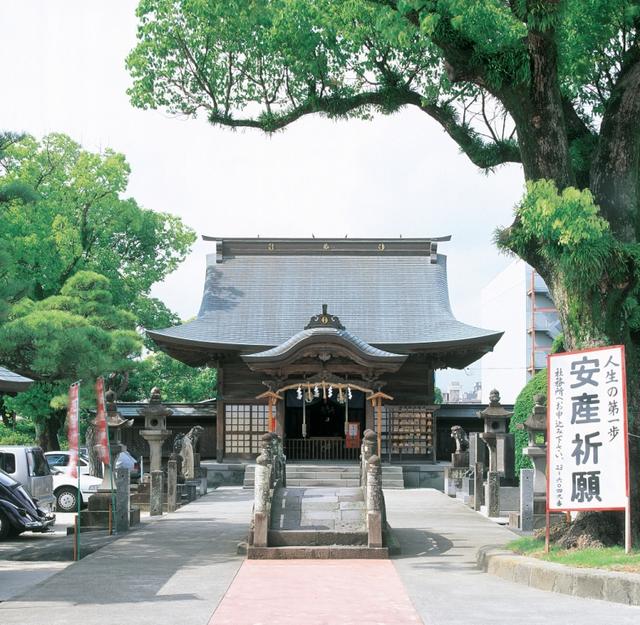 大きな楠の木の下、石畳の参道の先に重厚な入母屋造りの拝殿が佇み、手前には小さな石造りの太鼓橋と「安産祈願」と書かれた大きな白い看板が立てられた、静かで厳かな神社の境内の風景を正面から捉えた写真