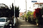 住宅街の道路で右側には鮮やかな赤い花をつけた木や緑豊かな樹木が並び道路に張り出している写真