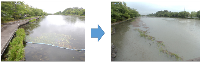 水際の草が見え、お濠の縁の下に水面がある事前排水をした状態の写真と、水面がお濠の縁を超え、草の上部分だけが見えているている、水を溜めた状態の写真を左右に並べ、活用前後の変化を比較した画像