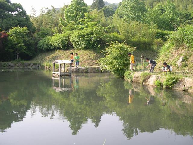 静かな池のほとりで子どもたちが釣りや生き物観察に興じ、周囲の濃い緑と水面の映り込みが穏やかな自然の情景を形づくる写真