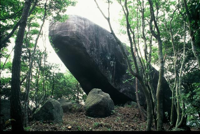 森に囲まれた巨大な岩が地面から前傾してせり出し、苔むした丸石と木々が広がる静かな景観を形づくる写真
