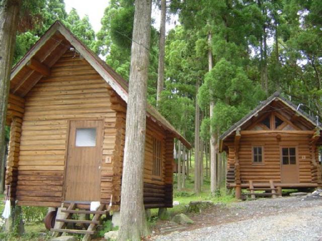 杉林の中に佇む、三角屋根が特徴的な木造のロッジが二棟並んで建っており、手前の建物には木の階段と扉が備えられ、周囲の豊かな自然と調和した静かなキャンプ場の風景が広がっている様子を捉えた写真