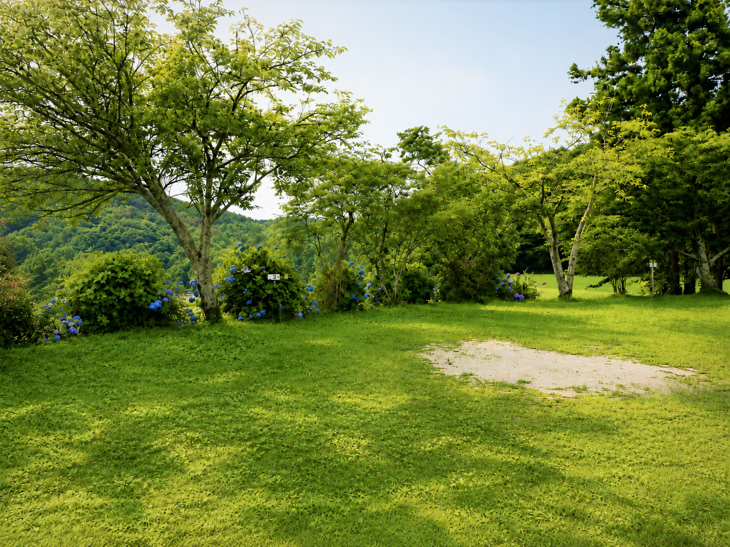 site3