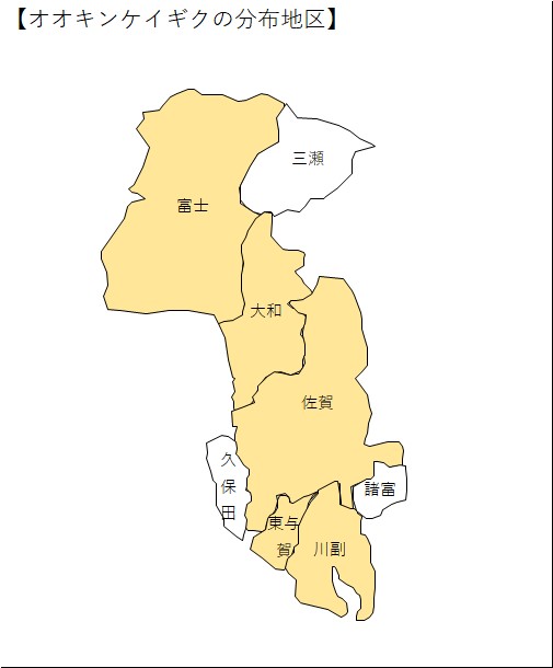 オオキンケイギクの分布地区
