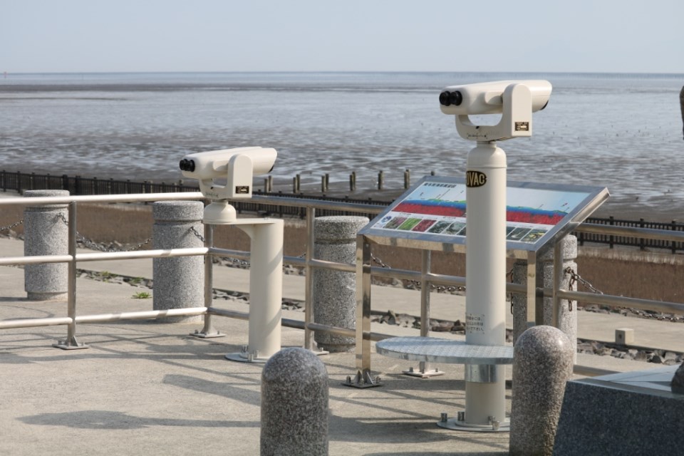 穏やかな海と広大な泥質の干潟を見渡す展望台に、2台の白い観光用望遠鏡が設置されており、手前の望遠鏡の横には干潟に飛来する野鳥や自然環境を詳しく解説するフルカラーのパネルが添えられた、観察施設の設備を捉えた写真