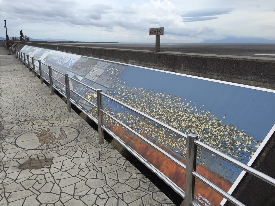 石畳の通路沿いに設置された防波堤に、干潟に飛来する無数の野鳥や現地の生態系を紹介する大きな解説パネルが長く連なり、足元のタイルにはカニのイラストが描かれた、曇り空の下の静かな遊歩道を斜め前方から捉えた写真