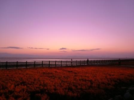 夕闇が迫る紫色のグラデーション空の下、手前に広がるシチメンソウの群落が赤く染まり、海岸沿いに続く長い木製フェンスの向こう側に静かな海が広がる、幻想的で情緒豊かな秋の夕暮れ時の風景を捉えた写真