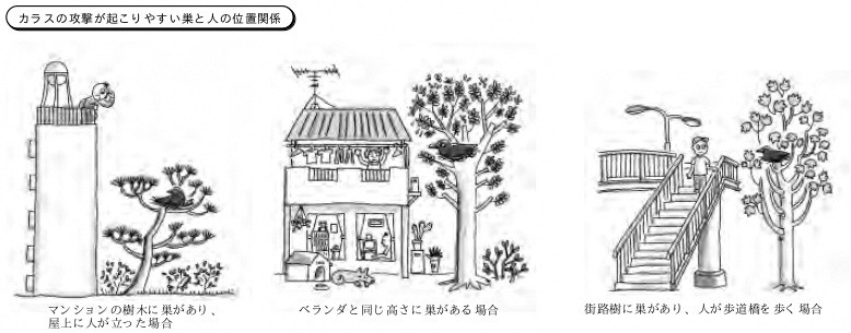 カラスの攻撃が起こりやすい巣と人の位置関係として、マンションの樹木やベランダ付近、街路樹と歩道橋など、人の頭に近い高さに巣がある3つの具体的な事例を解説したイラスト