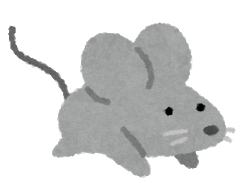 灰色の体と大きな耳を持ち、長い尾を伸ばして前かがみの姿勢で立つネズミのイラスト