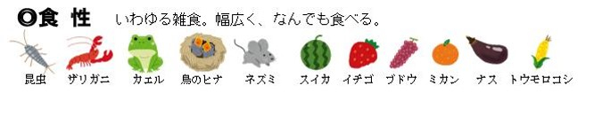 アライグマの食性を示す図