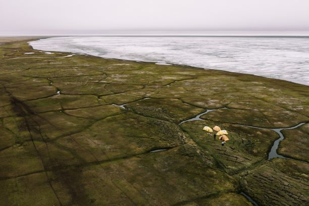 広大な湿原のような緑の平原に網目状の細い水路が走り、その一角に設営された黄色いテント数張と人影を俯瞰で捉え、遠くには氷に覆われた白い海が水平線まで広がる極地の厳しい自然環境を映し出した写真