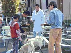 屋外の柵で囲まれたスペースで飼い主や子供を含む複数の市民が犬を連れて会場を訪問している写真