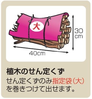 植木のせん定くずの出し方として、「植木のせん定くず せん定くずのみ指定袋(大) を巻きつけて出せます。」の説明文と、長さ40センチメートル、高さ30センチメートル以内に束ねた枝を、赤字で「大」と書かれたピンク色の指定袋で巻き、紐で二箇所縛って固定する手順を説明しているイラスト