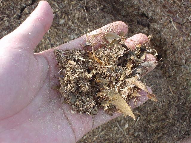 左手に、粉砕された木の枝や乾燥して茶色くなった葉が混ざり合ったウッドチップをひと掴み載せており、背景には地面に堆積した大量のチップが広がる、リサイクル加工された剪定枝の質感や細かさを手元で示した写真