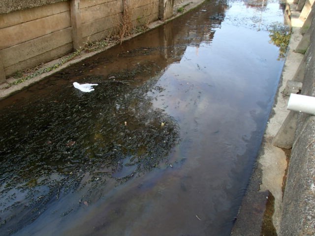 水路に、虹色の光沢をした油膜が水面全体に広がり、一部には白いゴミや黒い浮遊物が停滞している、汚濁した河川の様子を捉えた写真