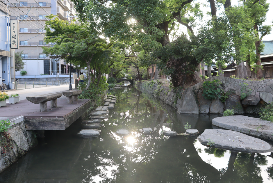 陽光が水面に反射する穏やかな水路に沿って飛び石が並び、左手にはベンチのあるデッキ、右手には歴史を感じさせる石積みの護岸と豊かな木々が広がる街中の水路を写した写真