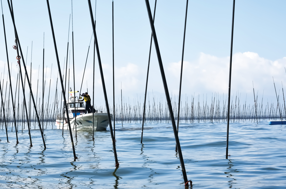 穏やかな有明海の海面に、海苔養殖用の無数の黒い支柱が垂直に突き刺さり、その間を白い漁船がゆっくりと進んでいく漁場の風景を捉えた写真
