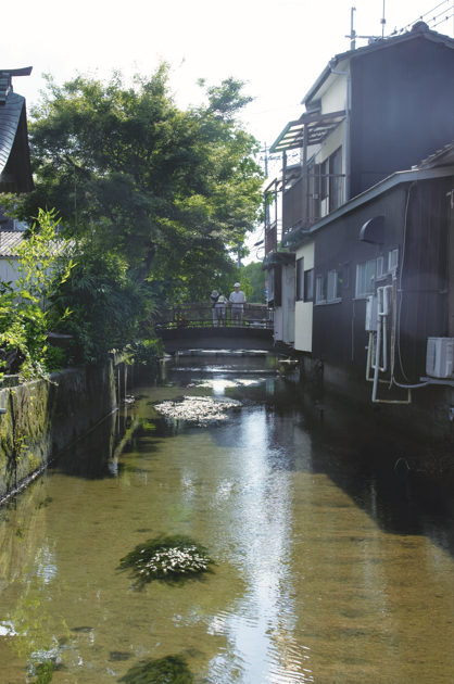陽光が反射する浅く透き通った水路が続き、両脇に家屋が並び、遠くの小さな橋に人が立っている姿が見えるまちの中の水路を写した写真