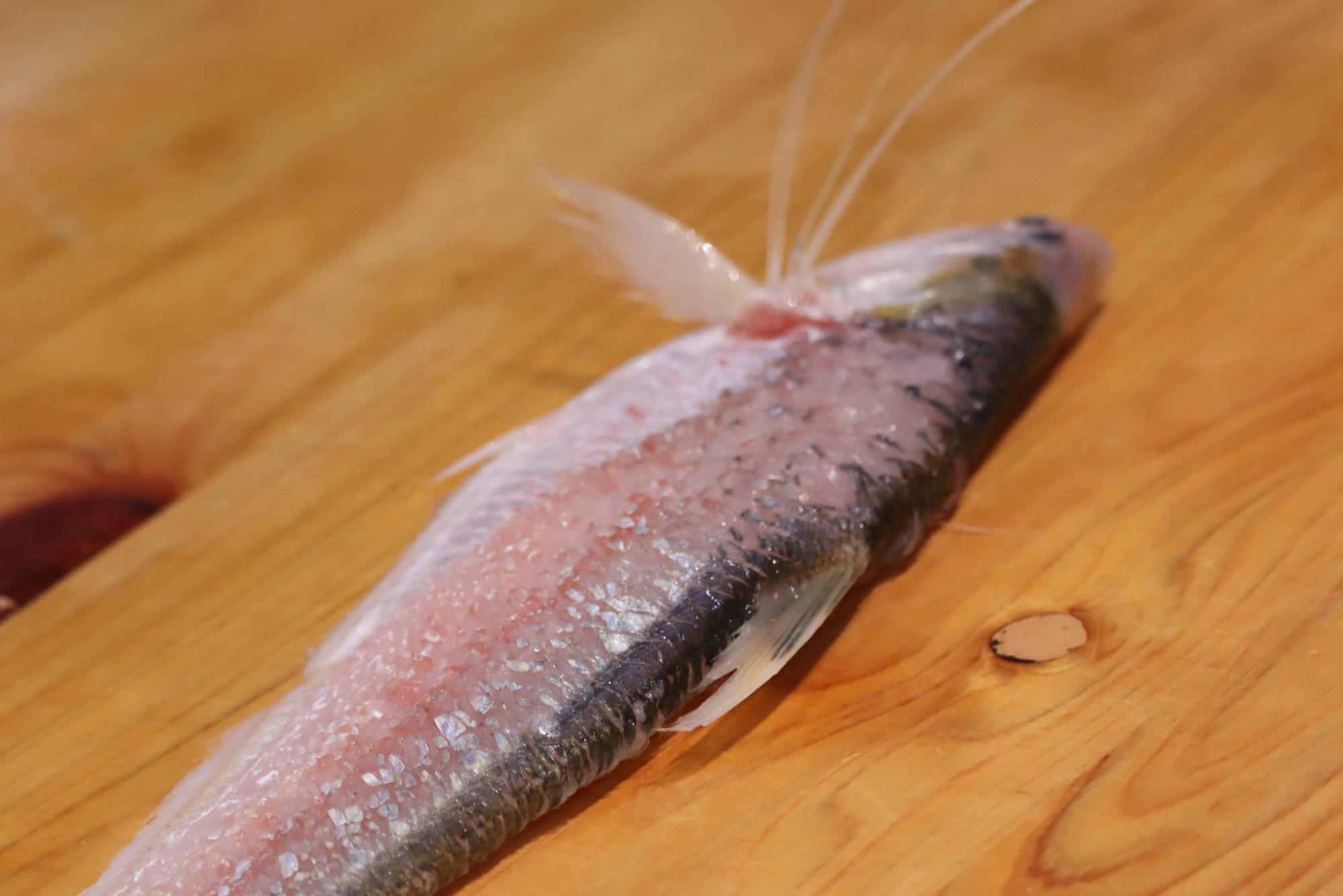 木製の調理台の上に置かれた、頭部から尾にかけて三枚におろされた状態の新鮮な魚を斜め上からの角度で捉えており、銀色に輝く皮目とほんのりと赤みを帯びた白身の質感が際立つ、食材の細部を強調した接写写真