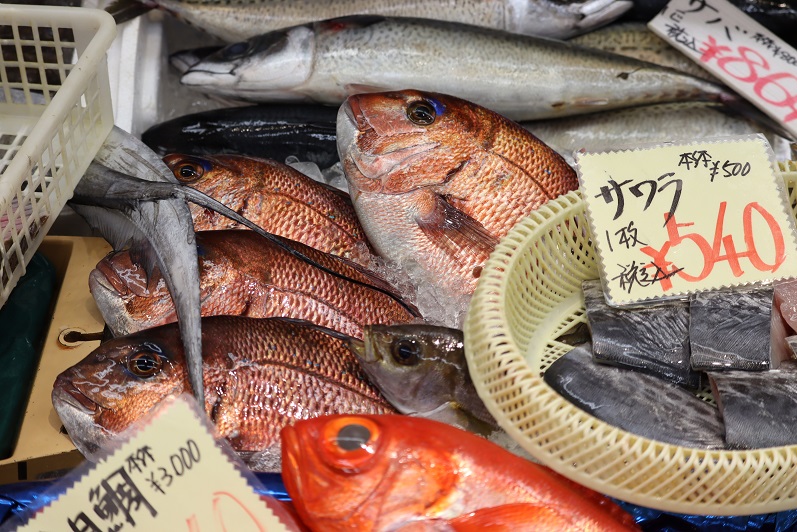 鮮魚の陳列棚にて、氷の上に置かれた数匹の立派な真鯛や光沢のあるサワラなどの鮮魚とともに、「サワラ 1枚 540円」「真鯛 3000円」などと記された手書きの価格札が添えられている写真