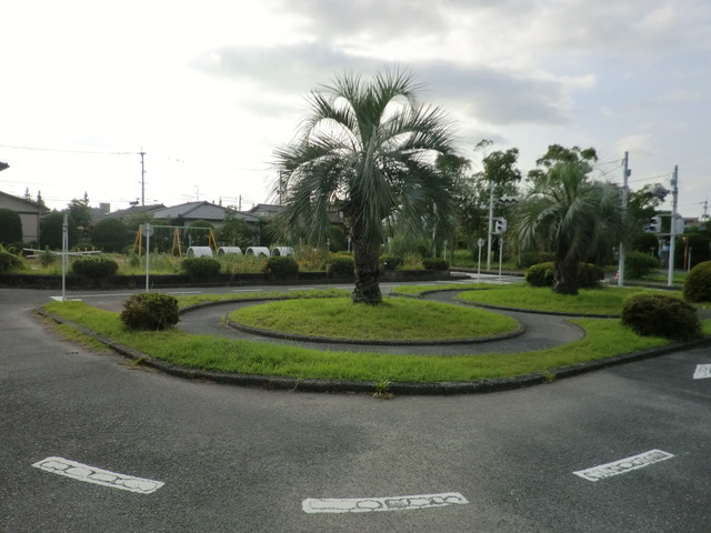 中央にヤシの木が植えられた円形の植え込みを囲むように舗装された道路があり、白い矢印や標識が設置された交通公園の一角で、奥には遊具や緑が見える写真