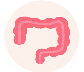 大腸がん検診イラスト