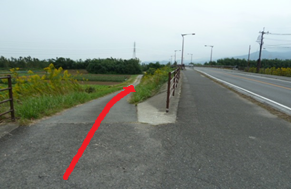 車道脇から草地へ続く細い側道へ赤い矢印が直進方向を示し進行ルートを案内する写真