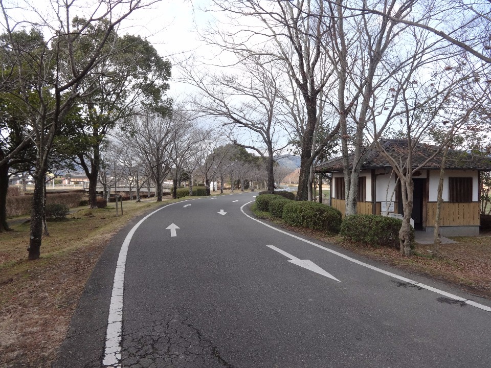 冬枯れの並木が続く緩やかに曲がる道路の右手に小さな建物が写る風景の写真