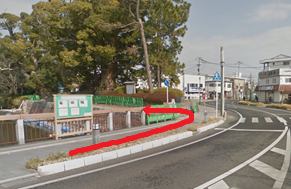 街路沿いに大木と建物が並ぶ交差点で、歩道に描かれた赤い矢印が左方向への進行を示している写真