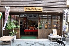 木造の店先に掲げられた看板の下の入り口から内部の飾りや旗が見え、足元を黒い猫が横切る様子を写した写真