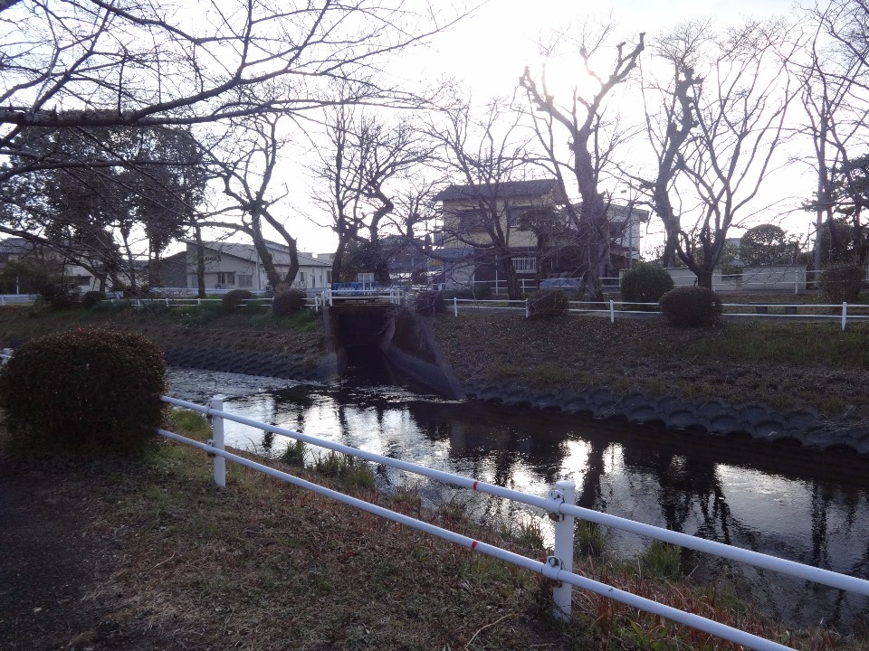 冬の夕暮れ時、白いフェンスが続く川べりの遊歩道から、対岸に並ぶ葉の落ちた木々や住宅、そして水面に反射する柔らかな日差しを眺めることができる、静かで穏やかな地域の水辺の風景を捉えた写真