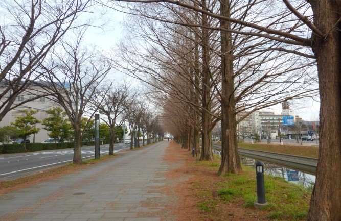 冬の静かな景観の中、川沿いに真っ直ぐ伸びる石畳の歩道の両脇に、葉を落とした高い木々が整然と並び、遠くまで続く並木道が奥行きのある風景を作り出している、落ち着いた雰囲気の散策路を捉えた写真