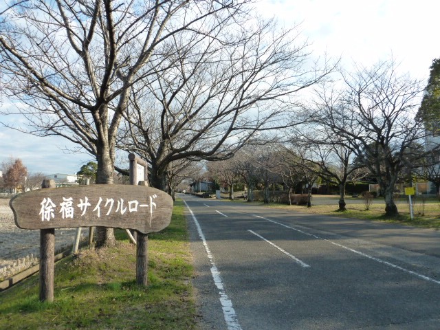 左側に「徐福サイクルロード」と書かれた木の看板があり、落葉した桜並木が遠くまで続く真っ直ぐな舗装路が伸びており、晴天の下で広々とした芝生の広場が隣接する、冬の穏やかなサイクリングロードの風景を捉えた写真