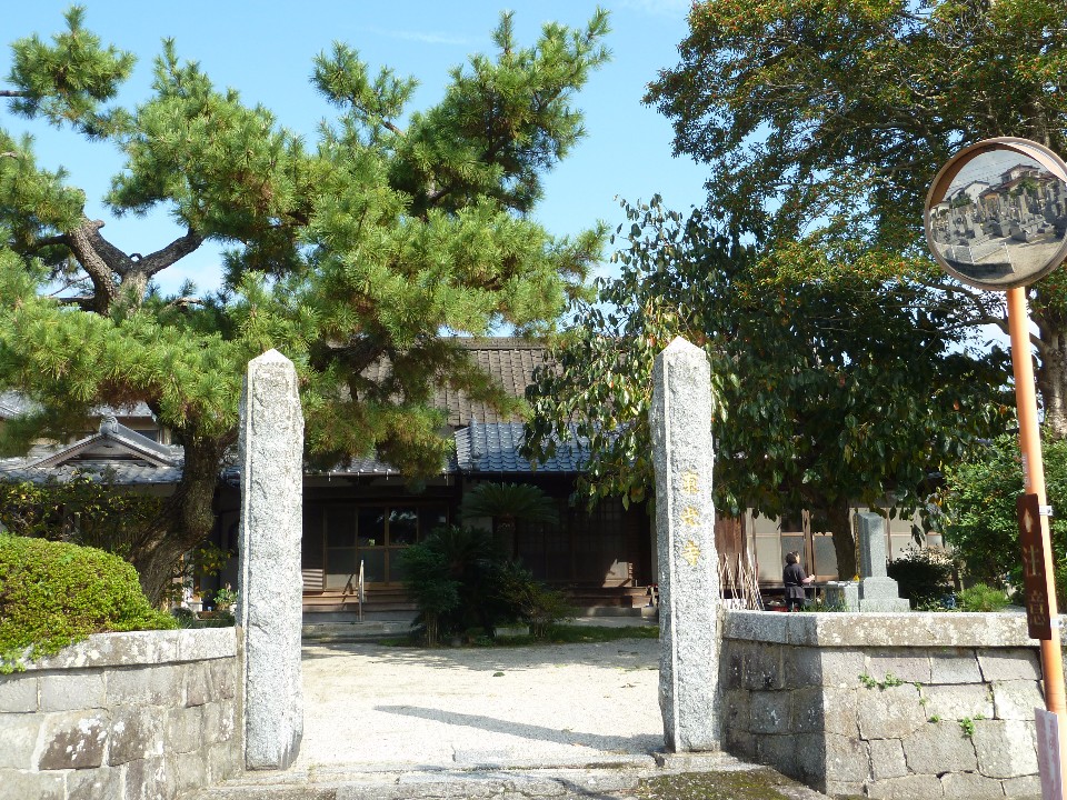 青空の下、立派な松の木や豊かな緑に囲まれた寺院において、石垣の間に「専教寺」と刻まれた一対の石柱が立ち、その奥に落ち着いた和風建築の本堂が佇む東光寺の写真