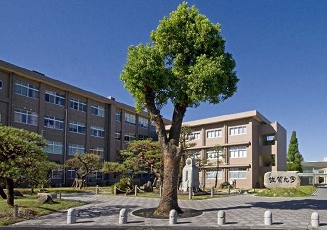 澄み渡る青空の下、中央にそびえ立つ一本の大きな落葉樹と丁寧に整えられた松の木々が並ぶ庭園の奥に、ベージュ色の落ち着いた校舎が建ち、右端には「佐賀大学」と刻まれた石碑が置かれた、キャンパス内の風景を捉えた写真