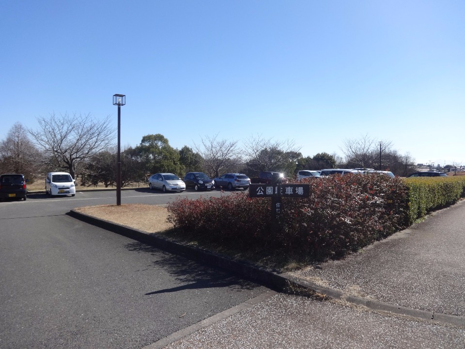 澄み渡る青空の下、複数の乗用車が停まった舗装済みの駐車場において、手前の植え込みの中に「公園駐車場」と記された小さな案内板が立ち、周囲には冬枯れの木々が点在する、多布施川河畔公園北駐車場の写真