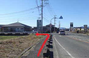 澄み渡る青空の下、片側一車線の直線道路において、前方の交差点で「堀江動物クリニック」という緑色の看板が立つ左方向の道へと曲がるルートを、赤い矢印で分かりやすく示した道案内の写真