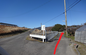 澄み渡る青空の下、左側に堤防へと続く上り坂があり、その脇に設置されたフェンスに沿って右側の平坦な道を真っ直ぐ進むルートを、赤い矢印で分かりやすく示した道案内の写真