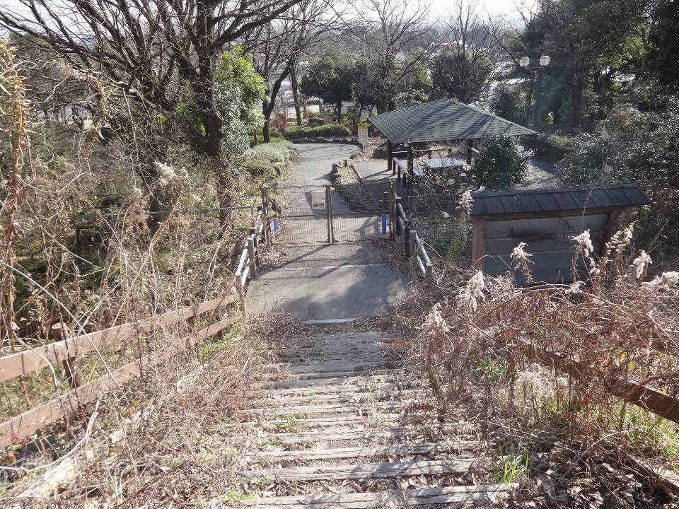 冬の枯れ草に囲まれた長い木の階段を上から見下ろすと、その先に柵付きの門と休憩用の東屋が建つ広場があり、さらに奥には公園の入り口や周辺の木々が広がる、自然豊かな高台からの風景を捉えた写真