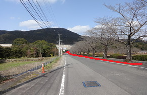 青空の下、右側に等間隔で並ぶ葉の落ちた桜並木と広い車道が奥へと続き、その先に見える山並みに向かって直進するルートが赤いラインで強調して描かれた、開放感のある郊外の道路風景を捉えた道順案内写真