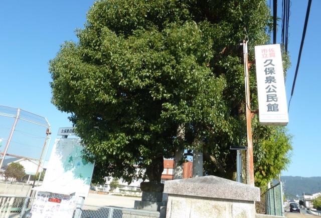 晴天の下、佐賀市立久保泉公民館の白い縦看板と青い案内図の背後に、青々と葉を茂らせた大きな広葉樹がそびえ立ち、その奥にグラウンドのネットや校舎が見えるウォーキングコースの出発地点の写真