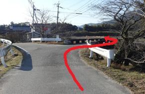 橋を渡り終えた地点で、正面の茂みに向かって左側に折れるアスファルトの道を進むよう、路面に赤い曲線状の矢印が描かれた、視界が開けた場所にあるウォーキングコースの道順を説明するための写真