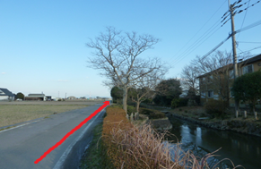広々とした空の下、遠くに見える家々を背景に、左側に穏やかな水面が広がる水路、右側に冬枯れの植え込みがある舗装路をまっすぐ進むルートを、路面上に描かれた太い赤い矢印で指し示している写真