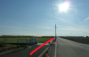 強い日差しが照りつける青空の下、広大な田園地帯を貫く一本の舗装道路を真っすぐ進むルートを指し示す太い赤色の矢印が描かれた写真