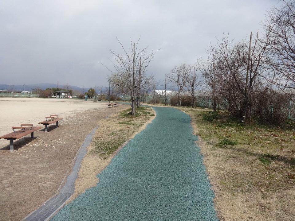 曇り空の下、緩やかにカーブする緑色の舗装路が奥へと続き、その左側には木のベンチが並ぶ砂地の広場、右側には冬枯れの木々が並ぶ、静かな公園の風景写真