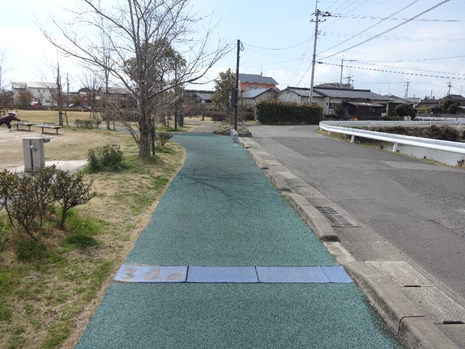 薄曇りの空の下、手前に「300」と刻まれた青いラインがある緑色の舗装路が真っ直ぐに伸び、左側には水飲み場や木々が点在する公園の広場、右側にはガードレール沿いの道路と住宅街が広がるのどかな風景を捉えた写真